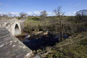 barnard castle ox pasture farm 1 sm.jpg